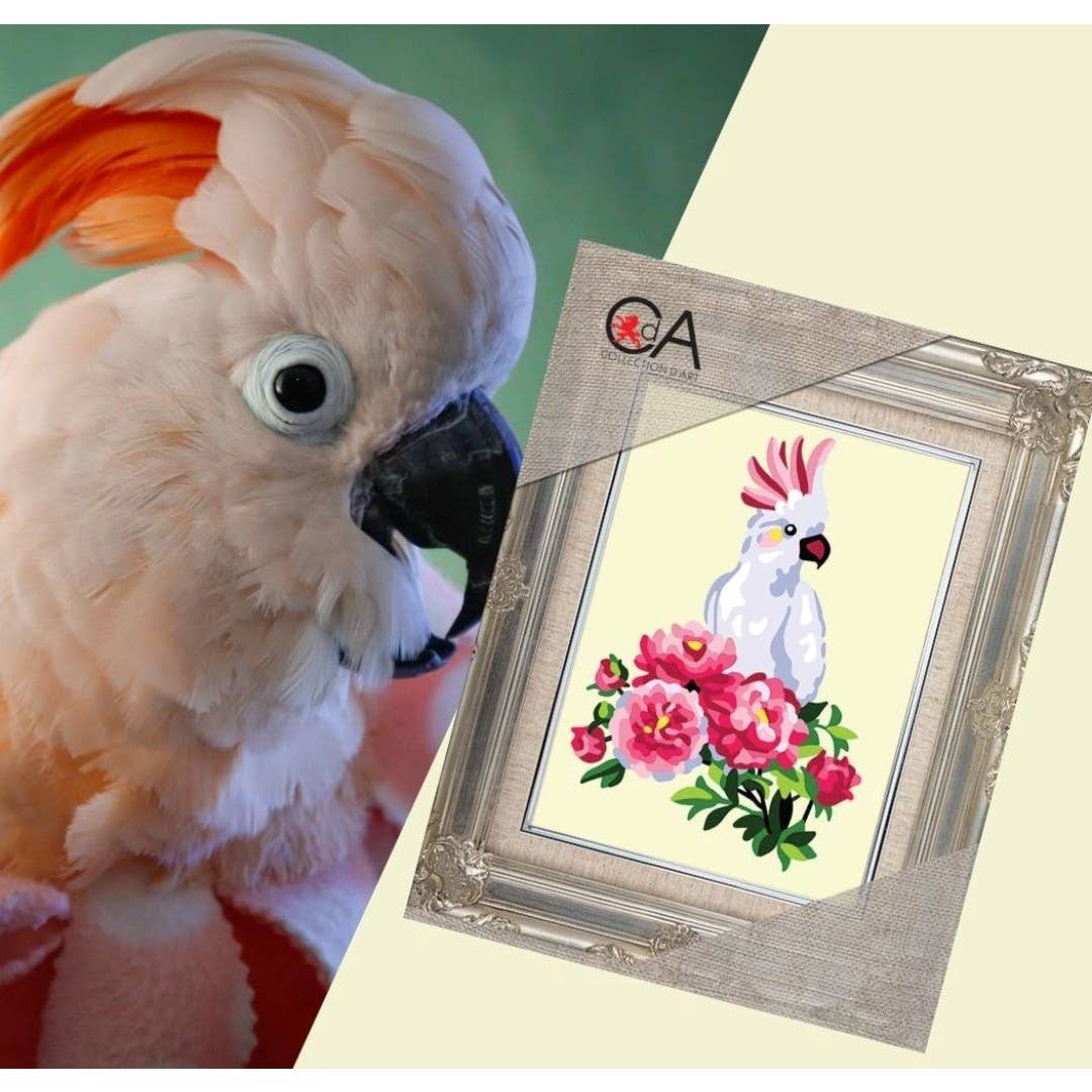 Tapestry Printed Kit Needlepoint White Parrot