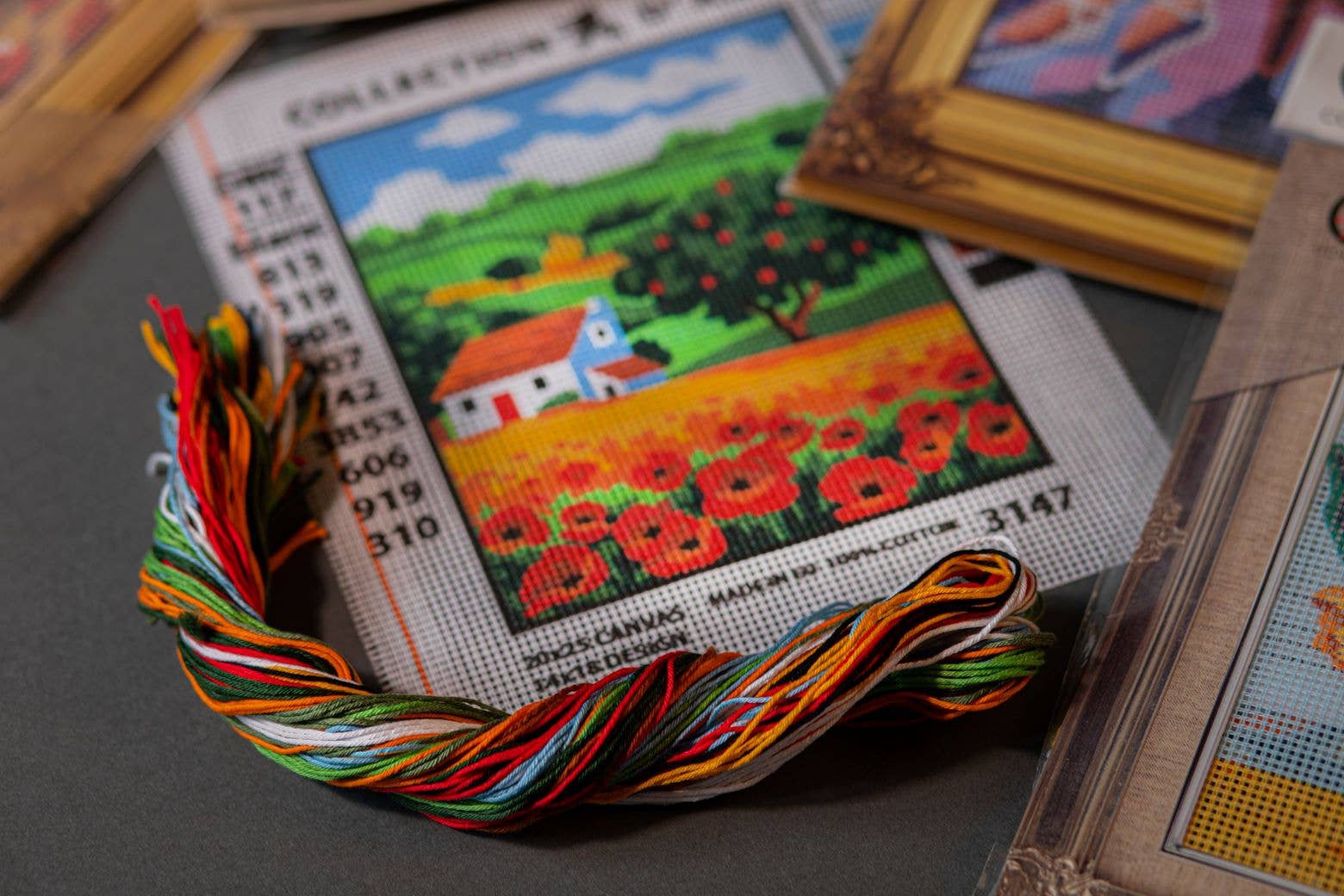 Tapestry Printed Kit Needlepoint Flowers Collection