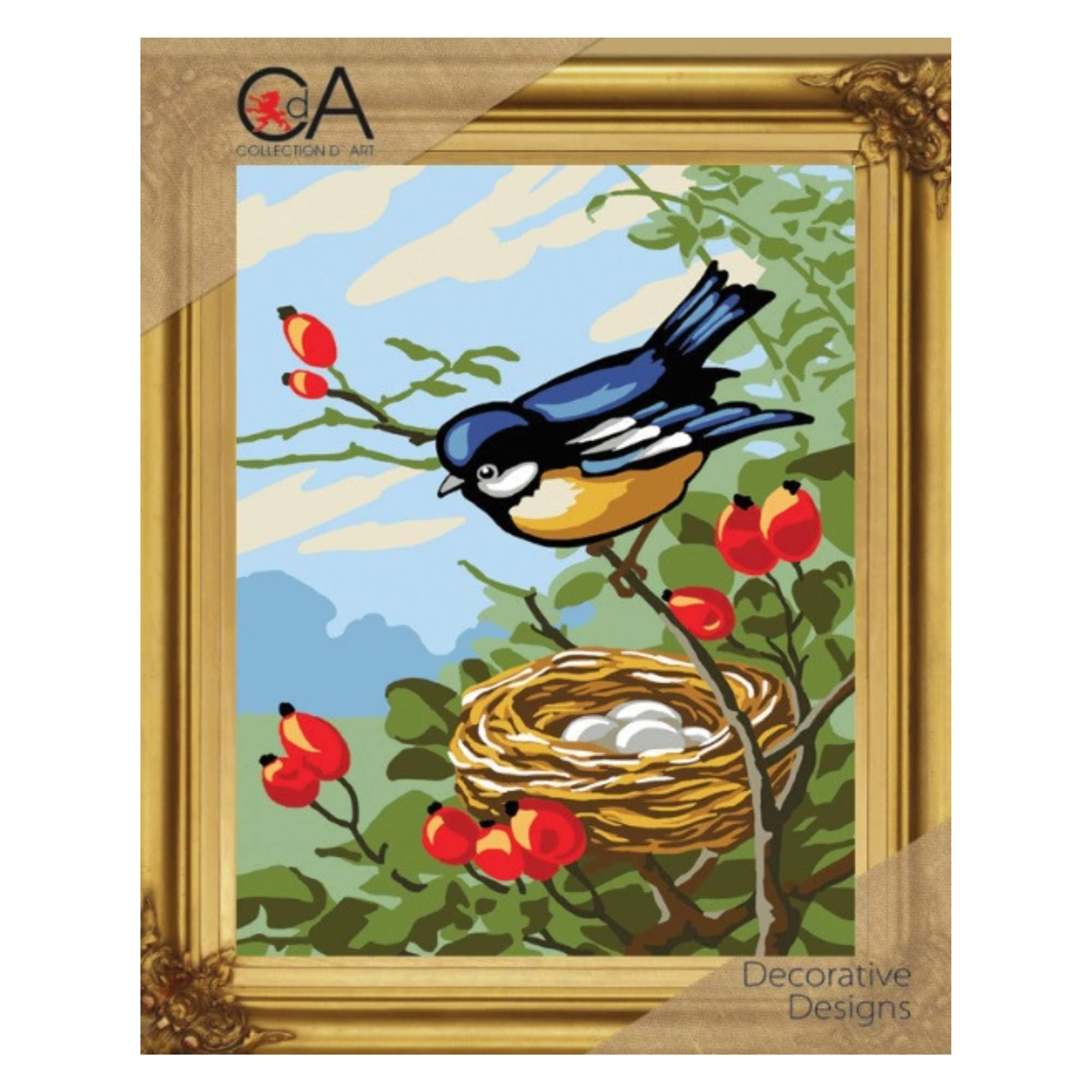 Tapestry Printed Kit Needlepoint Bird Collection